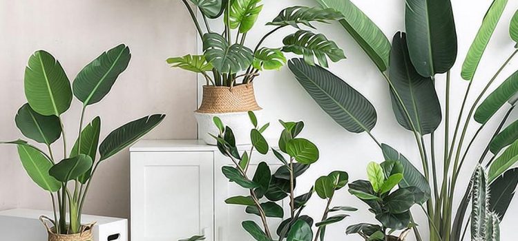 Deco and Lemon: Ventajas de decorar con plantas artificiales súper realistas