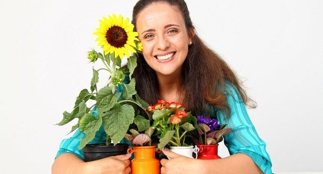 Girasoles. ¡Hazlo tú misma aprende a cultivarlos en casa!